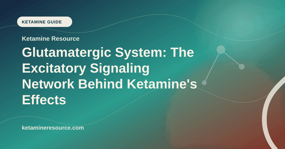Glutamatergic System: The Excitatory Signaling Network Behind Ketamine's Effects article visual for Ketamine Resource