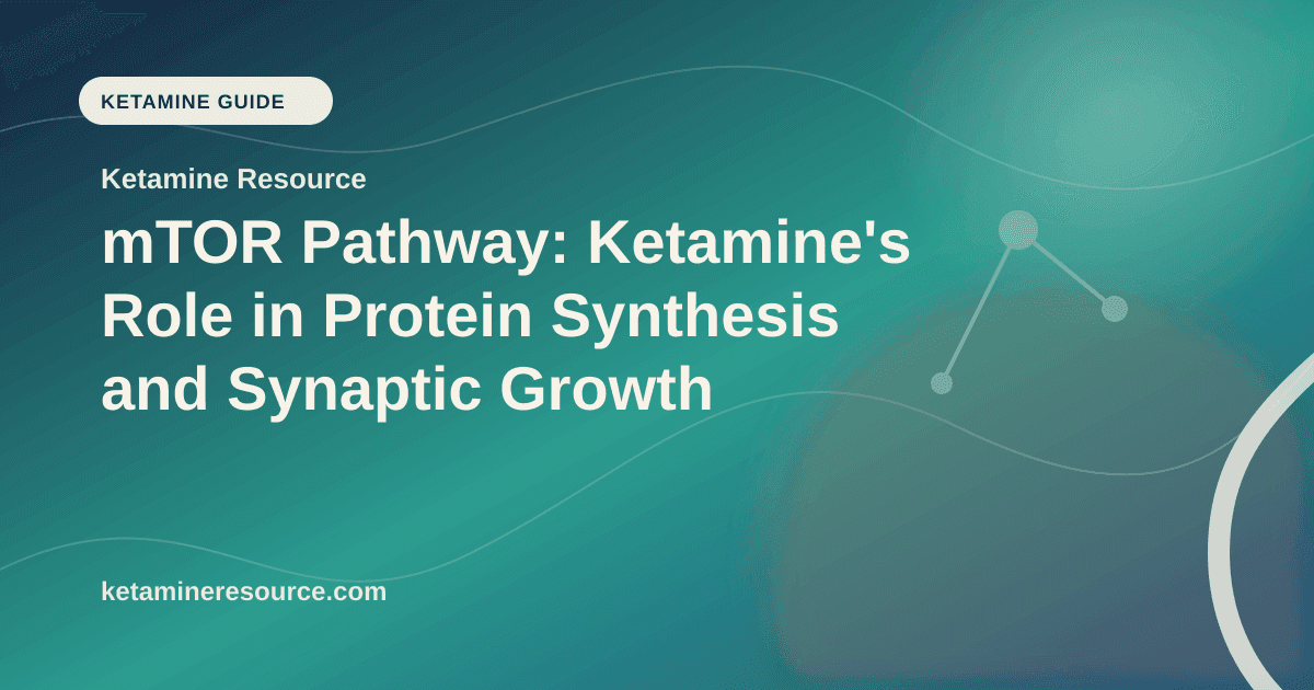 mTOR Pathway: Ketamine's Role in Protein Synthesis and Synaptic Growth article visual for Ketamine Resource